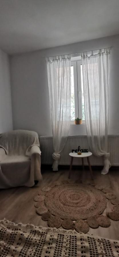 Rebreanu Family Apartment Sibiu Exterior photo